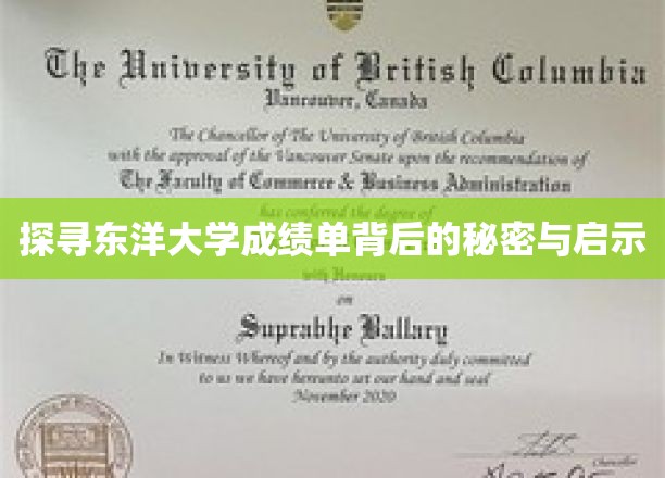 探寻东洋大学成绩单背后的秘密与启示