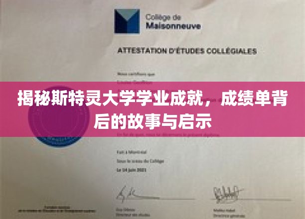 揭秘斯特灵大学学业成就，成绩单背后的故事与启示