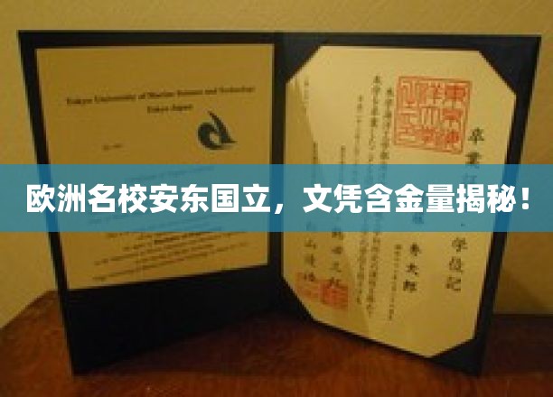 欧洲名校安东国立，文凭含金量揭秘！