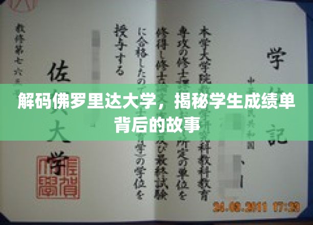 佛罗里达大学成绩单，揭开学子成就背后的神秘面纱
