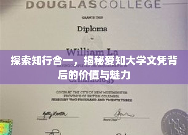 解码爱知大学文凭，价值探寻与独特魅力展现