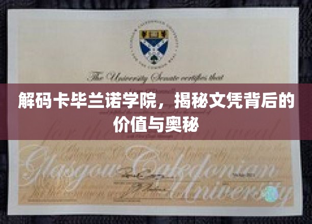 解锁卡毕兰诺学院的文凭魅力，价值探寻之旅