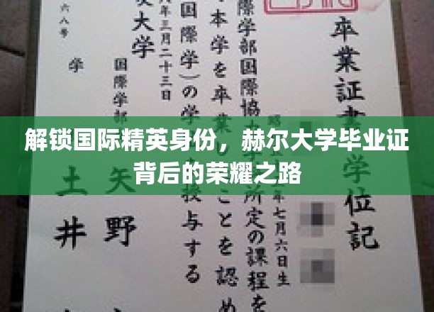 跨越国界，赫尔大学文凭背后的精英养成记