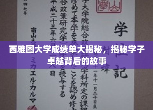 西雅图大学学霸养成记，揭开卓越学子的幕后传奇