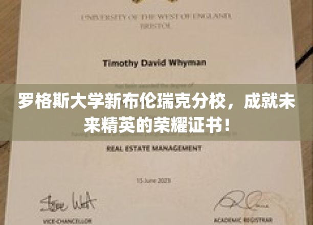 罗格斯精英梦工厂，新布伦瑞克分校铸就辉煌未来证书之路