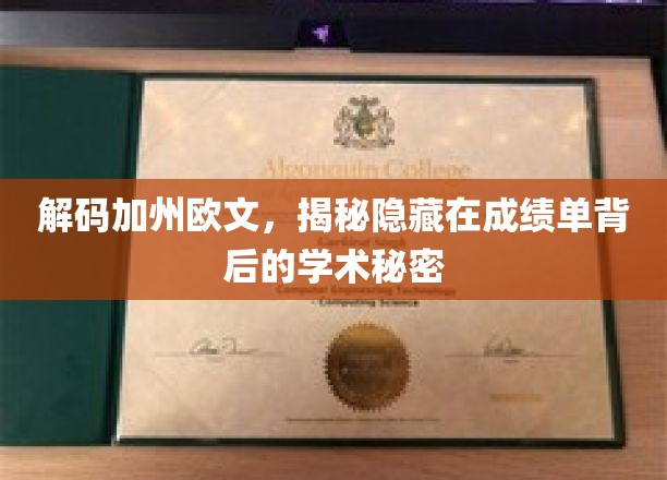 解码加州欧文，揭秘隐藏在成绩单背后的学术秘密