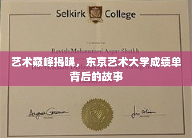 艺术巅峰揭晓，东京艺术大学成绩单背后的故事