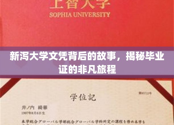 新泻大学文凭奇旅，一纸文凭背后的传奇历程