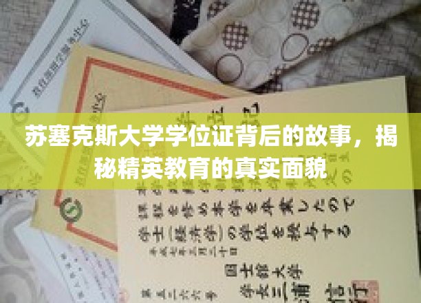 苏塞克斯大学学位证背后，一窥精英教育世界的真实图景