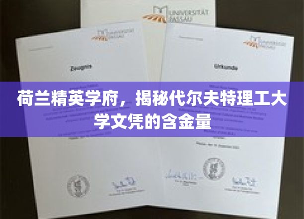 欧洲教育明珠，探秘代尔夫特理工文凭的无价价值