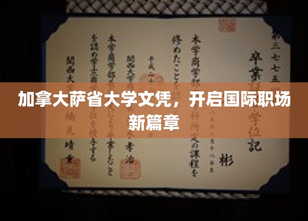萨省大学文凭，助力跨国职场梦启航