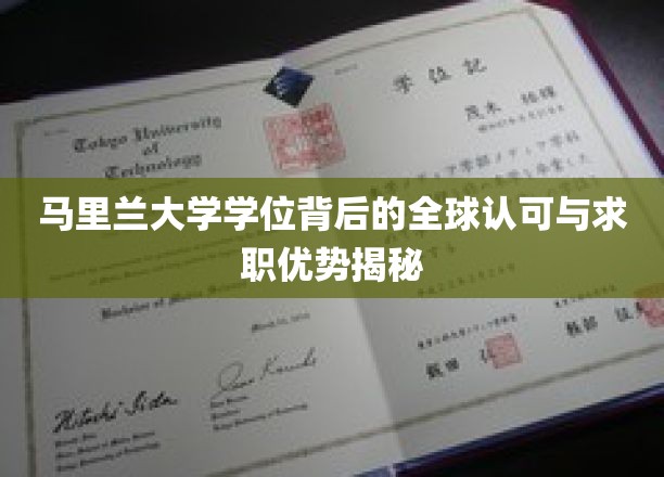 马里兰大学学位背后的全球认可与求职优势揭秘