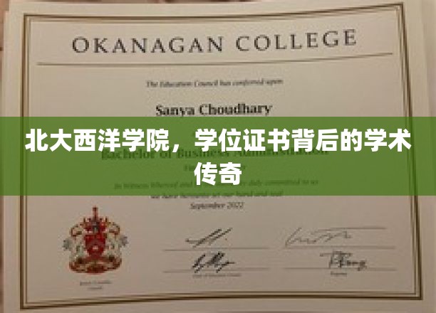 北大西洋学院，学位证书背后的学术传奇