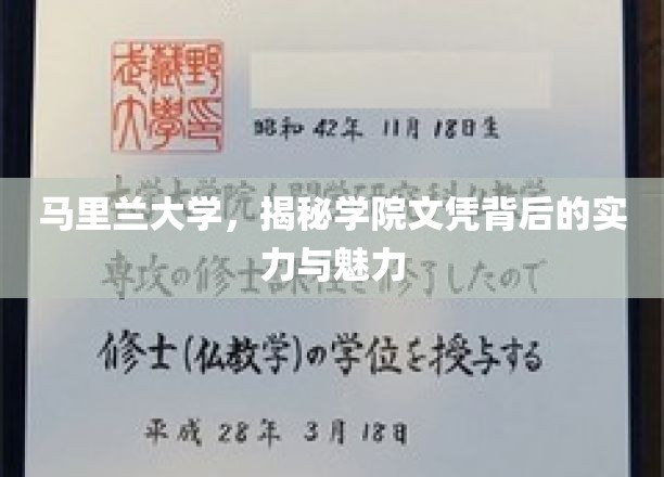 探索马里兰大学，学院文凭背后的卓越实力与独特风采