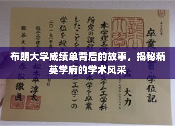 布朗大学成绩单背后，揭秘常春藤精英的学术秘境