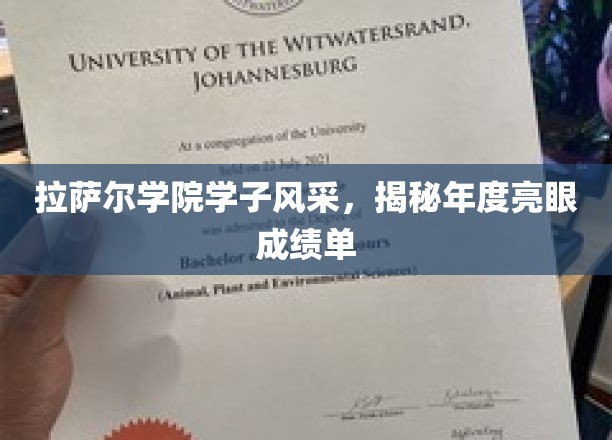 拉萨尔学院学子风采，揭秘年度亮眼成绩单