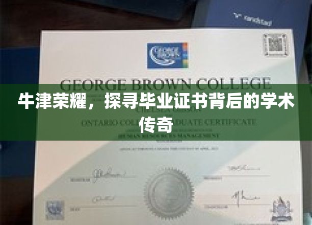 牛津荣光，揭秘毕业证书背后的学术辉煌之旅