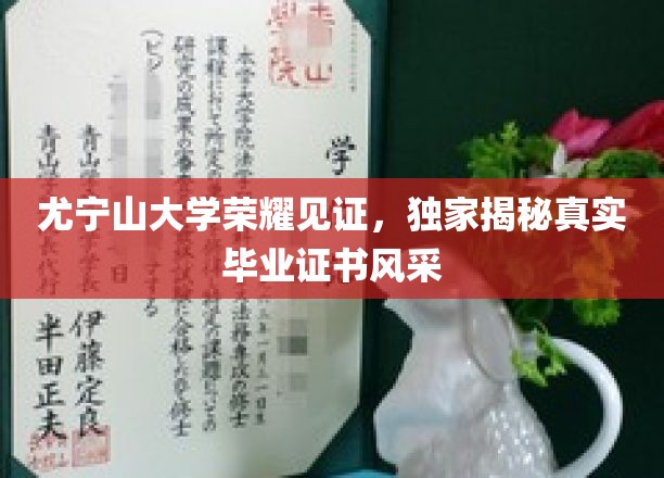 尤宁山大学荣耀见证，独家揭秘真实毕业证书风采