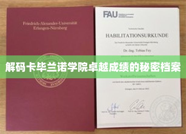 揭秘卡毕兰诺学院卓越成绩的秘密档案