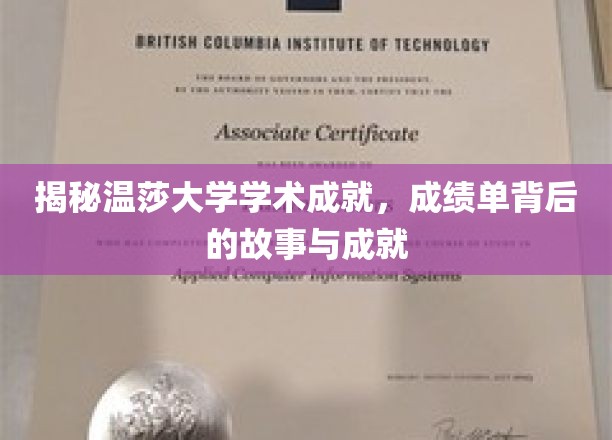 温莎大学学霸养成记，揭秘学术奇才背后的辉煌瞬间