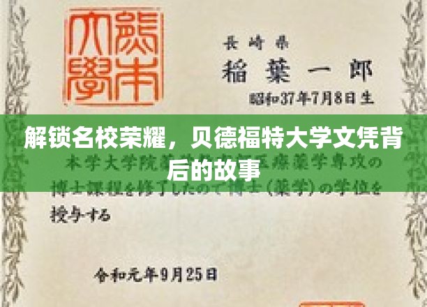 探寻贝德福特大学荣耀背后的独特之路