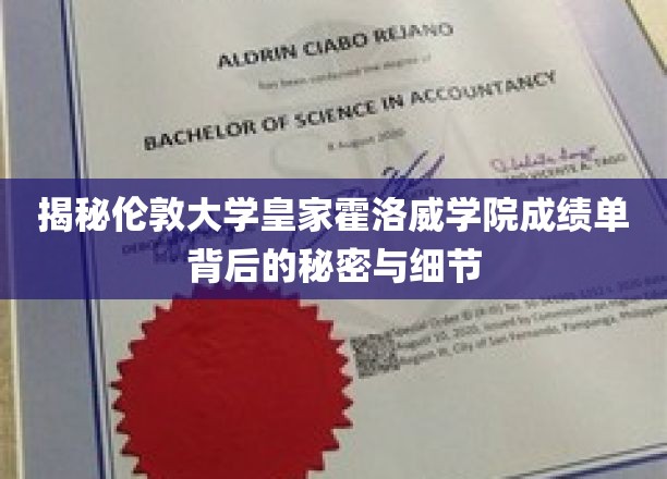探秘伦敦大学皇家霍洛威学院成绩单的隐秘世界