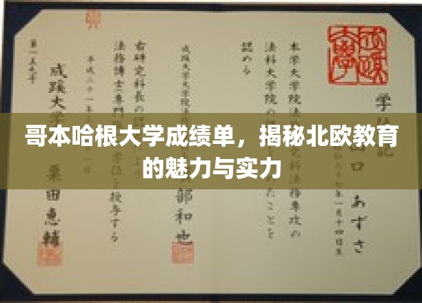 哥本哈根大学成绩单，揭秘北欧教育的魅力与实力