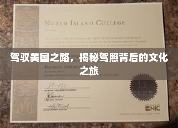 驾驭美国之路，揭秘驾照背后的文化之旅