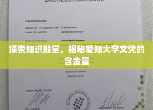 解码爱知大学文凭，价值非凡的教育瑰宝