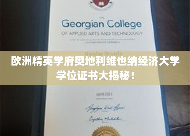 揭秘奥地利维也纳经济大学学位证书背后的故事！