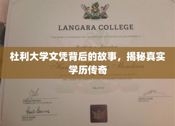学历传奇揭秘，杜利大学文凭背后的不凡历程