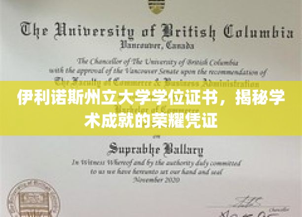 解锁荣耀，伊利诺斯州立大学学位证书背后的学术成就之光
