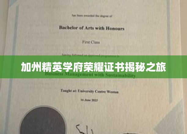 解码加州顶尖学府的荣耀凭证，一场非凡的探索之旅