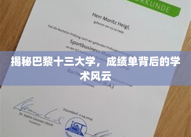 巴黎十三大学揭秘，成绩单背后的学术秘境