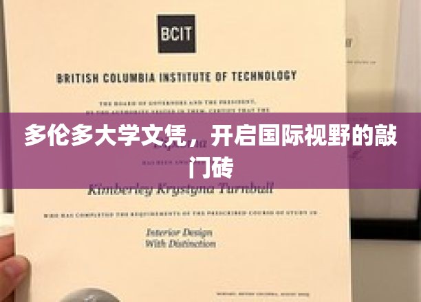 多伦多大学文凭，解锁全球视野的通行证