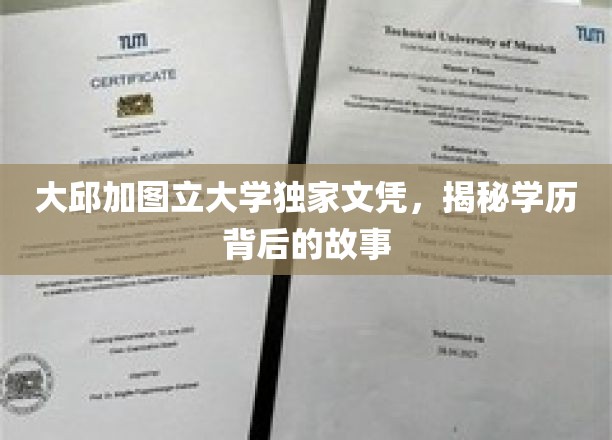 大邱加图立大学文凭之谜，揭开学历背后的传奇故事