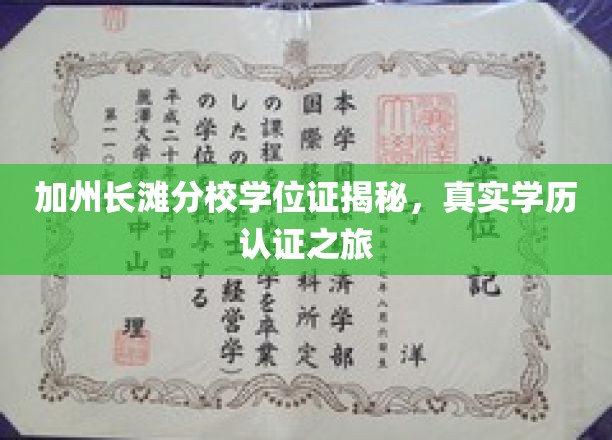 揭开加州长滩分校学位证之谜，探寻真实学历认证的奥秘之旅