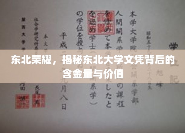 东北名校风采，揭秘东北大学文凭的珍贵价值与无限潜力