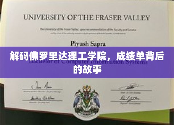 揭秘佛罗里达理工学院，成绩单背后的不凡历程