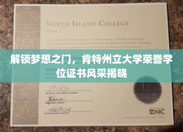 荣耀启程，肯特州立大学荣誉学位证书，开启非凡成就之旅