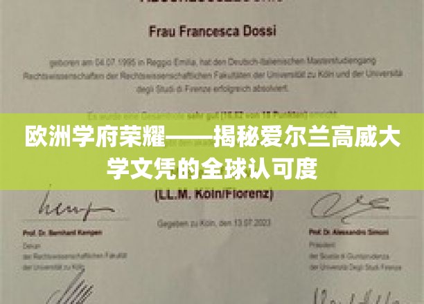 跨越欧陆的学术通行证，爱尔兰高威大学学位的国际声誉解析