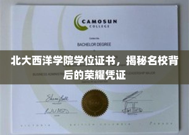 北大西洋学院学位证书，探寻名校荣耀背后的神秘凭证