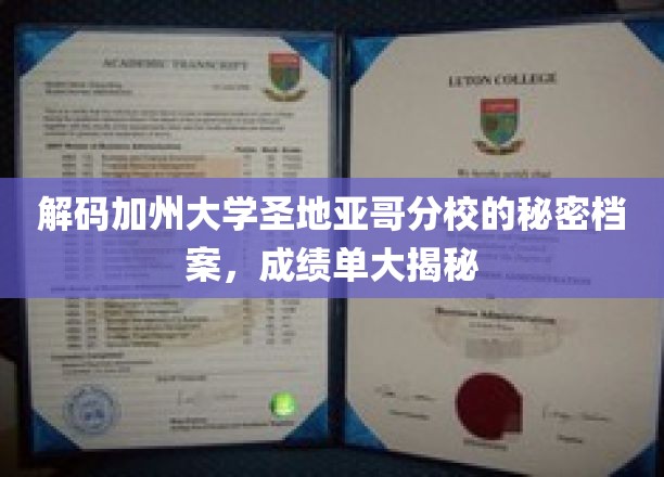 揭开加州大学圣地亚哥分校神秘面纱，成绩单背后的真实故事
