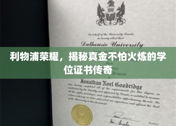 利物浦荣光，见证坚毅之心的璀璨学位证书传奇