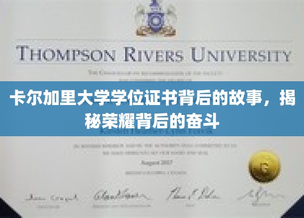 卡尔加里荣耀证书，一纸学位背后的坚韧征途
