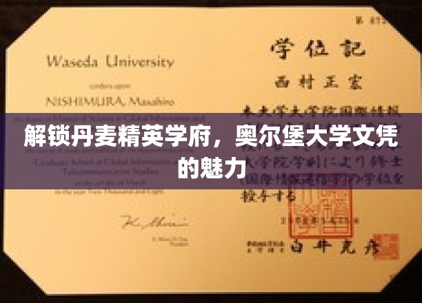 解锁丹麦精英学府，奥尔堡大学文凭的魅力