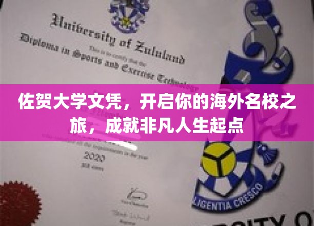 佐贺大学文凭助你跨越国界，迈向国际精英教育新篇章