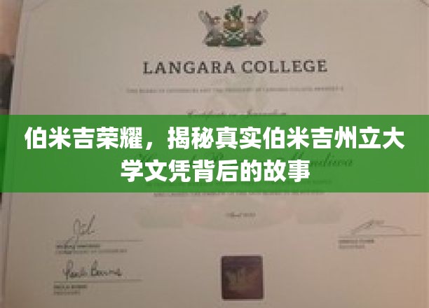 伯米吉传奇，探寻州立大学文凭背后的非凡历程