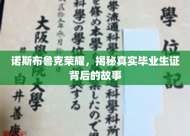 诺斯布鲁克荣耀揭秘，揭秘毕业证书背后的传奇与真相