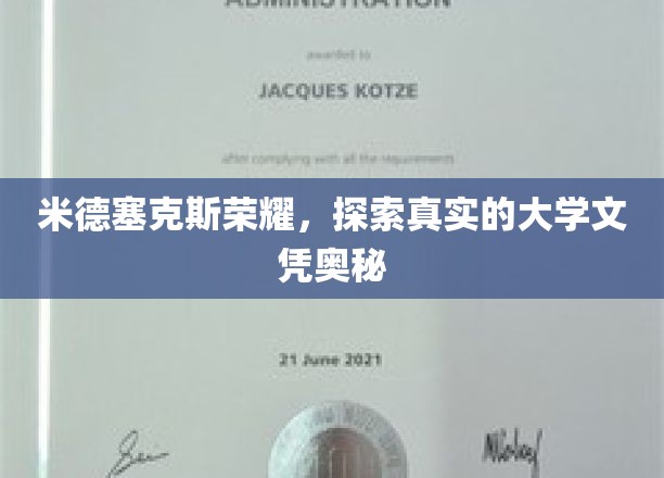 揭开米德塞克斯荣耀，探寻大学文凭背后的真实世界